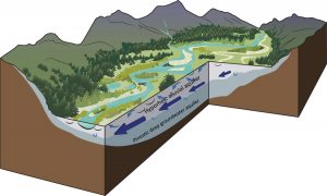 Gravel-bed river floodplains are the ecological nexus of glaciated mountain landscapes