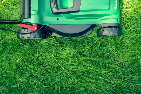Sustainable Home & Lawn Care Best Practices