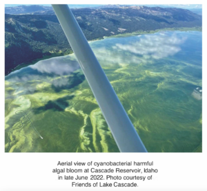 HARMFUL CYANOBACTERIA BLOOMS (HCBs) in Jackson Hole - Protect Our Water  Jackson Hole